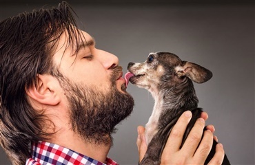 Kæl med din hund – kys den ikke