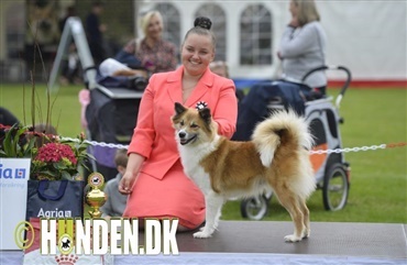 Josefine tog juniorhandlingen fredag