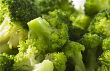 M&aring; min hund spise broccoli?