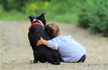 B&oslash;rn og hunde: Skab rammerne for det gode forhold