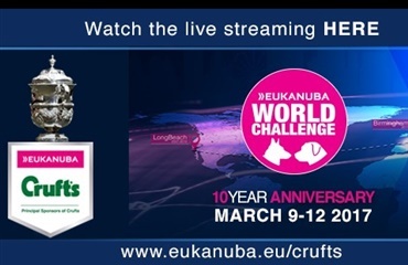 Eukanuba World Challenge – live