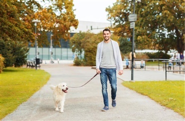 Hunde g&oslash;r det nemmere at f&aring; en date