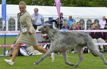 Snup en Woof´ie!