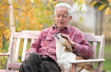 Hunde g&oslash;r &aelig;ldre mennesker mere sociale