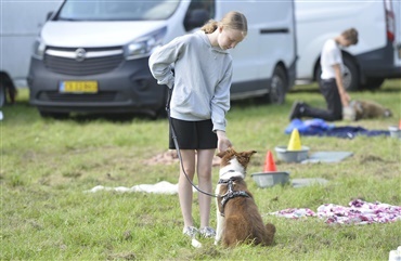 S&oslash;de b&oslash;rn, unge og hunde ved Hund i Fokus