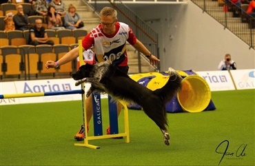 Agility: Ingen medaljer til det danske hold