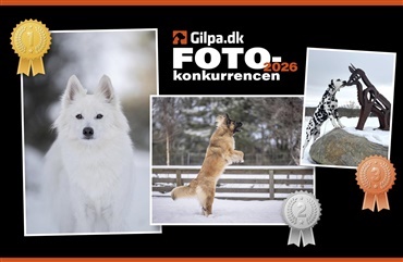 Vinderne af fotokonkurrencen er fundet