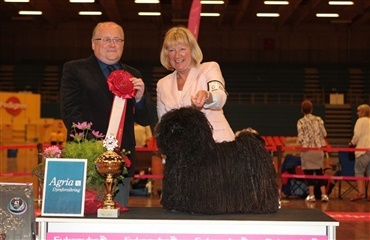 Cordmaker Hurdy Gurdy blev Best in Show