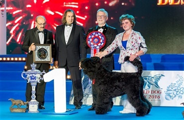 World Dog Show udsat til december