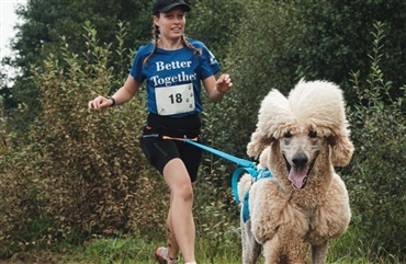 Hundefest med garanti for beskidte poter