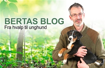Nyt på hunden.dk: Bertas Blog
