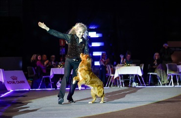 Show of Winners bryder traditionen