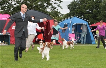 Over 2250 hunde dyster i Bjerringbro den kommende weekend