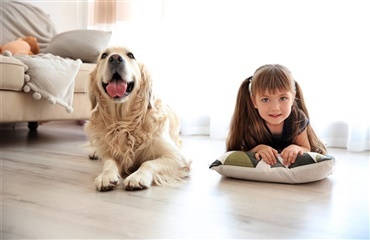 Otte ting ”hundeforældre” tænker, men ikke siger til børneforældre