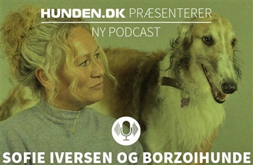 Nyt podcastafsnit