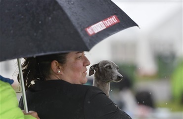 Se billederne: Regn over Roskilde