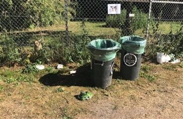 Skr&oslash;belige hunde i panik over festivalg&aelig;ster