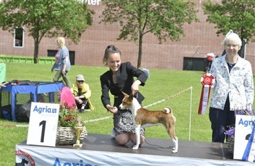 Endnu en flot juniorhandling