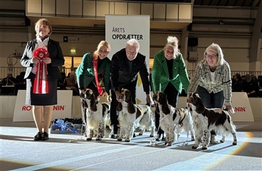 Kennel Sieger's var ikke til at overse