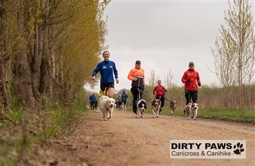 "Aktive hunde er lykkelige hunde"