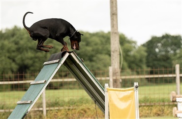 Min f&oslash;rste IGP 3-pr&oslash;ve med Shadow