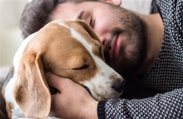 Skal man vaske h&aelig;nder, n&aring;r man har klappet sin hund