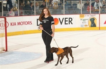 Hockey-klub hjælper ejerløse hunde