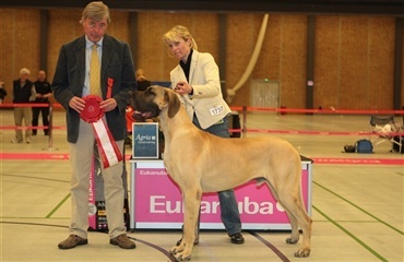 WebTV: Best In Show