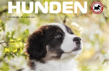 HUNDEN udkommer i denne uge