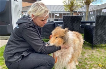 Sejr for hundene! Dyrev&aelig;rnet vinder banebrydende sag i retten