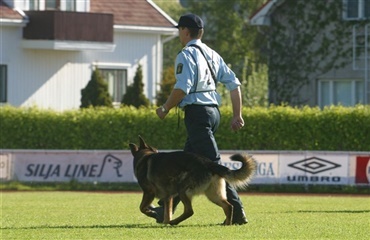 Nordisk mesterskab for politihunde