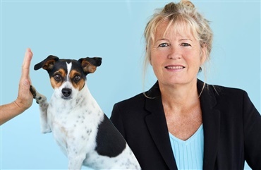 Jamen, give hunde og virker det? - Hunden.dk