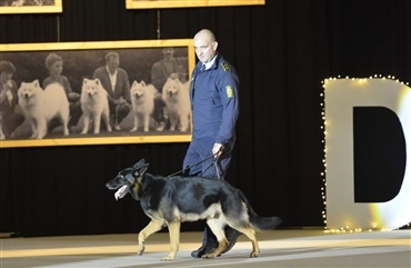 Cody er &aring;rets politihund