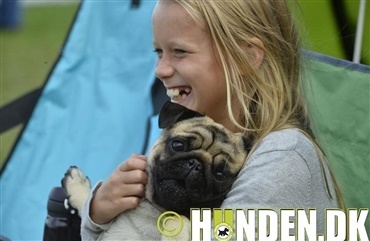 Se de sk&oslash;nne hunde p&aring; Bornholm her!