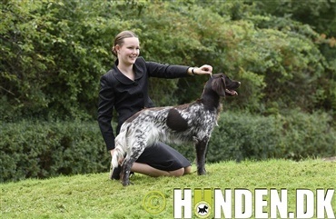 Juniorhandler Cecilie er klar til hundeudstilling i Ballerup (video)