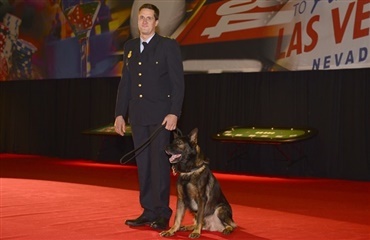 Hæder til Årets politihund 2014