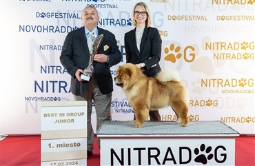 Danske hunde p&aring; podiet i Slovakiet