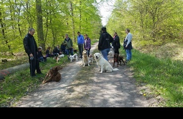 Hundevenlig ferie p&aring; Vemmetofte Camping