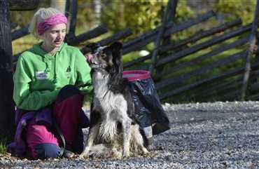 Efterskole med hundelinje