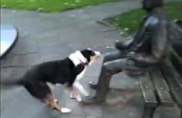 Hund vil lege med statue