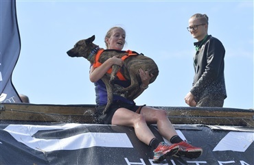 Billeder fra Hund i Fokus er online