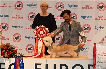 Hele Europa samles om hundene i Brno