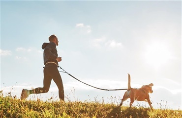 Hundeklub i menneskel&oslash;b