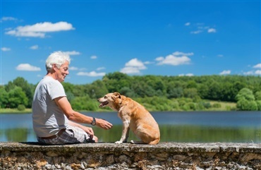Hundetr&aelig;ning forebygger aldersrelaterede kognitive problemer hos &aelig;ldre hunde