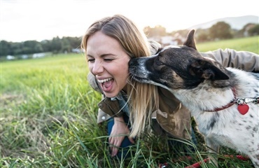 Din hund redder dit liv hver eneste dag