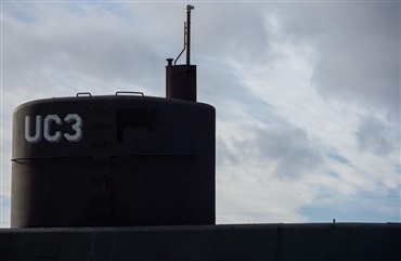 Kim Wall og lighundene