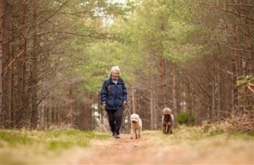 Danske Dogley fusionerer med europ&aelig;isk virksomhed  og bliver Europas st&oslash;rste hundepasningsservice 