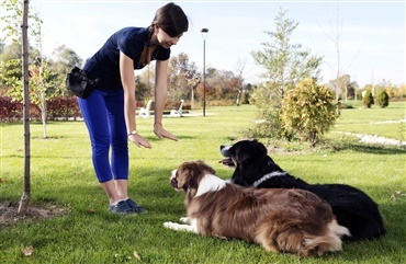 Opn&aring; flow sammen med din hund