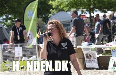 Hundedage eksploderer i 2019