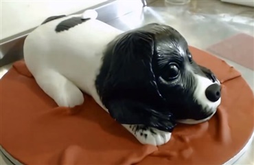 Bag din egen hundekage